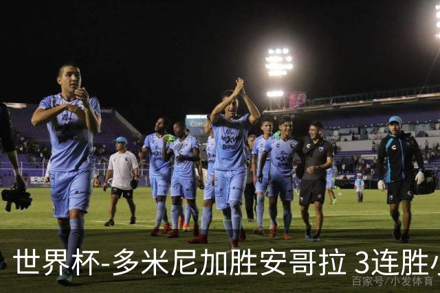 世界杯-多米尼加胜安哥拉 3连胜小组第一晋级